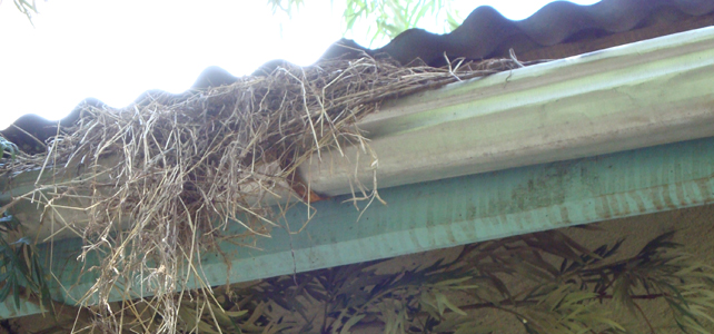 5 Easy Steps to Get Your Home Winter Ready Blocked Gutters