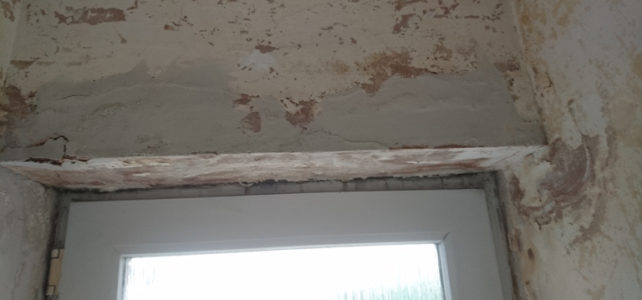 When we wanted to find out the true cost of dampness, we went to a property buyer to find out…