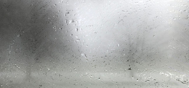 Damp and Condensation Advice for Tenants