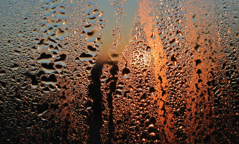 Damp and condensation 
