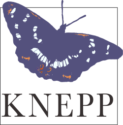 kneep logo