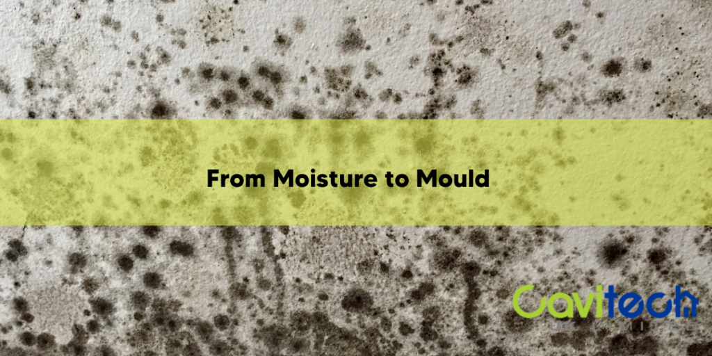 From Moisture to Mould: Safeguard Your Health and Property From ...