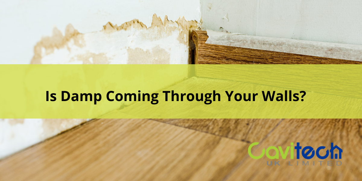 Is Damp Coming Through Your Walls? What It Means and How to Stop It