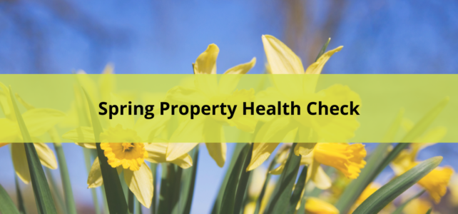 Spring property health check – what to inspect after a wet winter